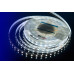 Светодидодная (LED) лента DesignLed 24В 5050 DSG560-24-W-33 14,4 Вт/м 6000K (000520) Холодный белый свет