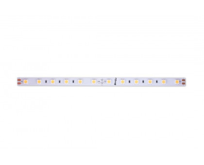 Светодидодная (LED) лента DesignLed 24В 5050 DSG560-24-WW-33 14,4 Вт/м 2700K (000521) Теплый белый свет