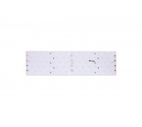 Светодидодная (LED) лента DesignLed 24В 2835 DSG2350-24-WW-33 31 Вт/м 3000K (000534) Теплый белый свет