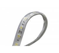 Светодидодная (LED) лента DesignLed 24В 5050 DSG560-24-W-65 14,4 Вт/м 6000K (002377) Холодный белый свет