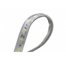 Светодидодная (LED) лента DesignLed 24В 5050 DSG560-24-W-65 14,4 Вт/м 6000K (002377) Холодный белый свет