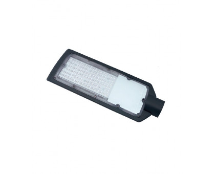 Консольный уличный светодиодный (LED) светильник Foton FL-LED Street-Garden 100W Grey 4500K 100Вт (611765) Дневной белый свет