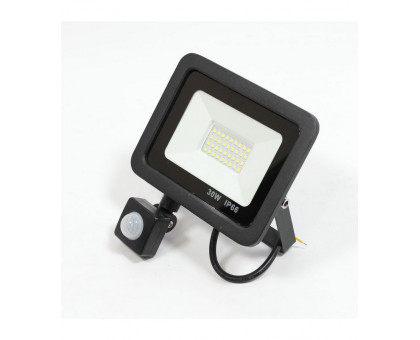 Светодиодный (LED) прожектор ICLED 85-265В 30Вт (51771) с датчиком движения