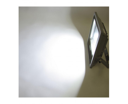 Светодиодный (LED) прожектор ICLED 220В 50Вт (51785) Холодный белый свет
