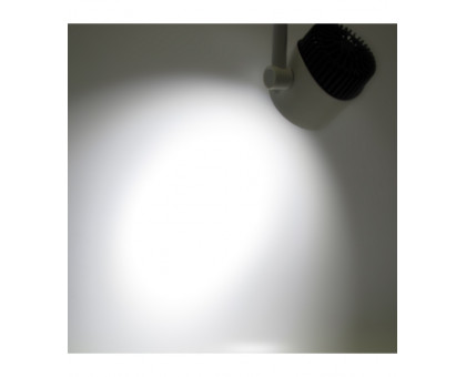 Трековый однофазный светодиодный (LED) светильник ICLED 30Вт 5000K IP40 160х100х190 мм (53452) Белый/чёрный