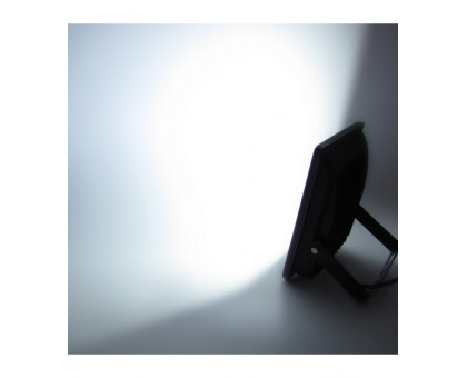 Светодиодный (LED) прожектор ICLED 220В 30Вт (54252) Холодный белый свет