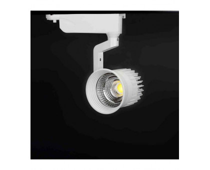 Трековый ЕВРО светодиодный (LED) светильник ICLED 10Вт 6500K IP40 160х100х200 мм (55343) Белый