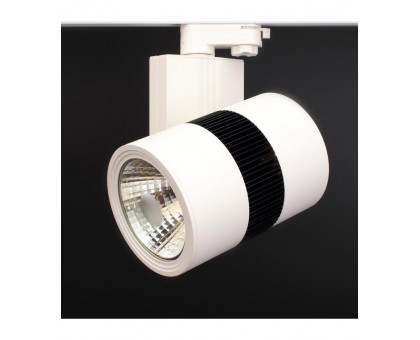 Трековый трехфазный светодиодный (LED) светильник ICLED 50Вт K IP40 190х170х240 мм (56362) Белый