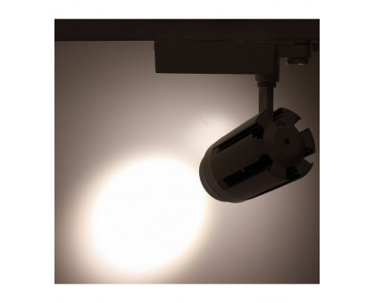 Трековый трехфазный светодиодный (LED) светильник ICLED 30Вт 4000K IP40 200х100х210 мм (57496) Белый