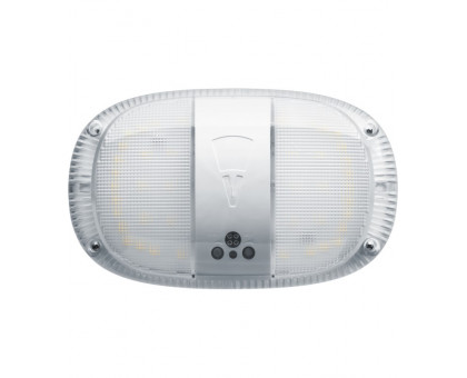 Овальный накладной (LED) светильник ЖКХ ДПБ Navigator DPB-02-8-4K-IP65-04-LED Антей 8Вт 4000K IP65 212х130х460 мм (80391) Белый
