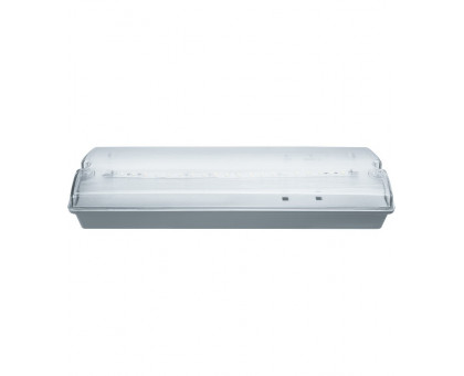 Аварийный эвакуационный LED светильник Navigator NEF-07 3Вт IP65 (61496) 180 мин.