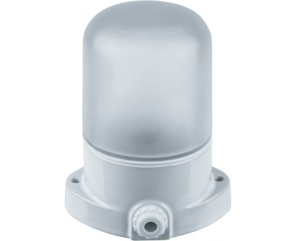 Накладной светильник ЖКХ (НПП) под лампу Е27 Navigator NBL-SA1-60-E27-WH IP54 110х99х136 мм (61509) для сауны