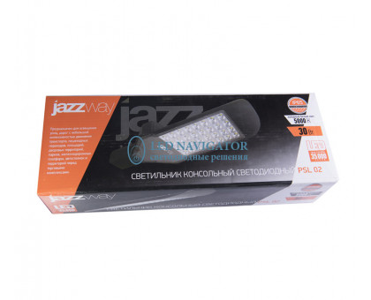 Консольный уличный светодиодный (LED) светильник Jazzway PSL 02 30w 5000K GR IP65 30Вт 5000K (5005761) Холодный белый свет