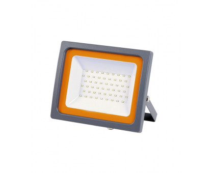 Светодиодный (LED) прожектор Jazzway PFL-SC-50W 6500K IP65 50Вт Дневной белый свет (5001435) матовое стекло