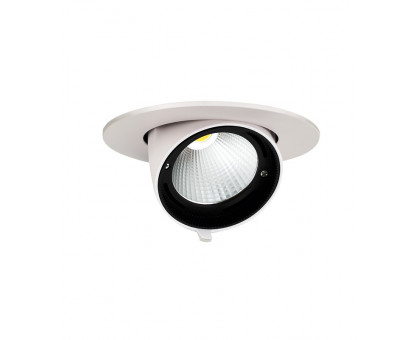 Поворотный Круглый встраиваемый (LED) светильник Downlight 138х95 Jazzway PLED DL4 30w 4000K 24° WH IP40 (5021907) Белый