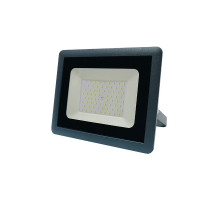 Светодиодный (LED) прожектор FAZA СДО-10 100w 6500K GR IP65 230V 100Вт Дневной белый свет (5033641)